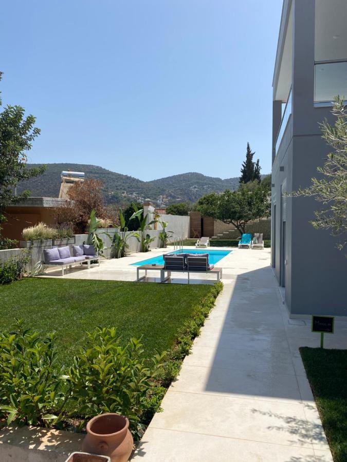 Porto Rafti Dream Complex & Retreat Lejlighed Eksteriør billede